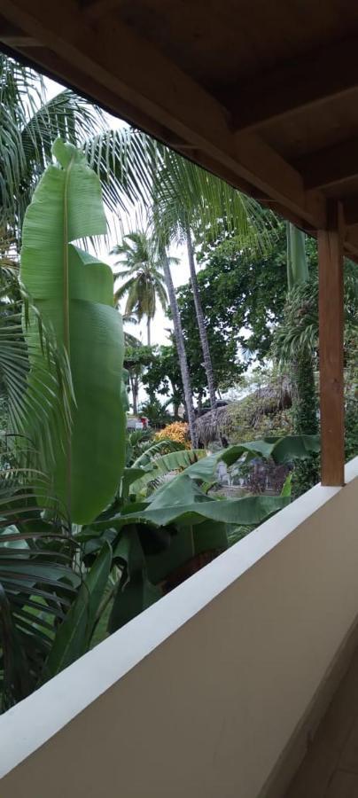 guest house MY WAY Las Terrenas Extérieur photo